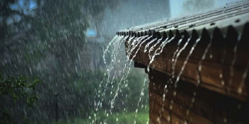 Mơ thấy trời mưa đánh con gì để gặp may mắn và chiến thắng
