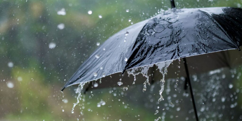 Luận giải giấc mơ thấy trời mưa đánh con gì đạt hiệu quả cao nhất