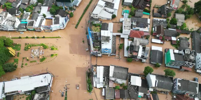 Bật mí mơ thấy lũ lụt đánh số mấy để thắng lớn